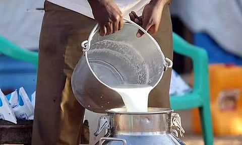 ஆந்திராவில் கலப்பட பால் குடித்து 13 பேர் பலி!