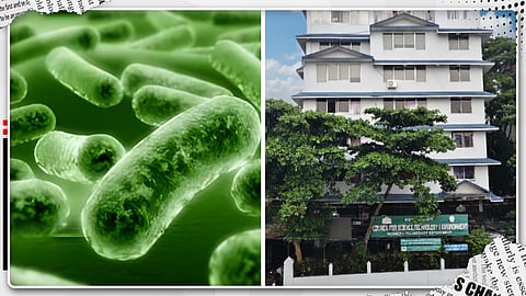Representative Image of Bacteria /  KSCSTE