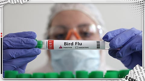 Avian flu Kerala