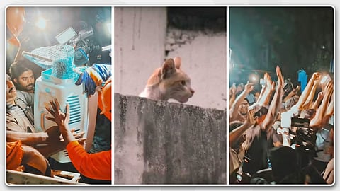 ‌'കേരളാ സാർ...' മെട്രോ പില്ലറിൽ കുടുങ്ങിയ പൂച്ചയെ രക്ഷിച്ച് അഗ്നിരക്ഷാ സേനയും എസ്പിസിഎയും; ആർപ്പു വിളിച്ച് മലയാളികൾ