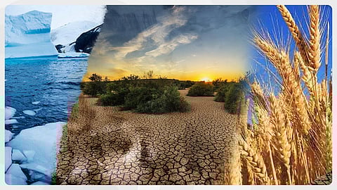 കാലാവസ്ഥാ വ്യതിയാനങ്ങൾ അന്നമില്ലാതാക്കും; ​ഇന്ത്യ കാത്തിരിക്കുന്നത് ​ഗുരുതര പ്രത്യാഘാതങ്ങളെന്ന് പുതിയ പഠനങ്ങൾ