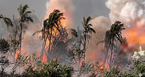 Thrissur cracker unit blast