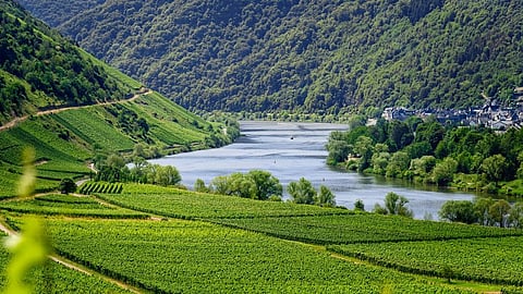 A wide-angle landscape shot of a blue river flowing between terraced green hills and dense forests, symbolizing the successful rejuvenation of an urban water body.