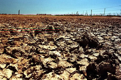 A close-up view of severely parched, cracked earth in Texas under a clear blue sky, showing extreme drought conditions.