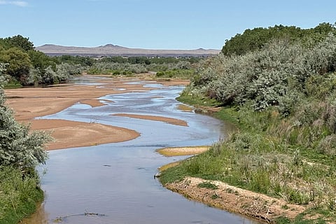 A scenic view of the shallow Rio Grande river winding through sandy river banks and green shrubbery under a clear blue sky, as seen in the file