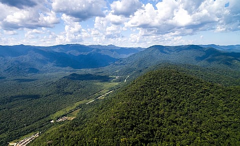 മാഞ്ഞുപോകുന്ന കാനന സീമകൾ 