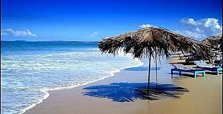 Share Market Live: Sensex, Nifty Hold Steady Gains