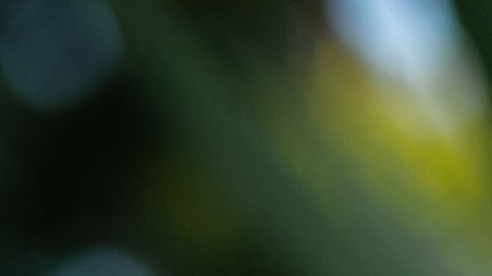 Tamil: India's Ancient Classical Language Endures the Test of Time