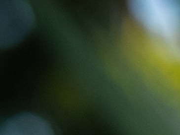 Tamil: India's Ancient Classical Language Endures the Test of Time