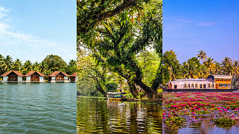 Kerala Honeymoon Destinations
