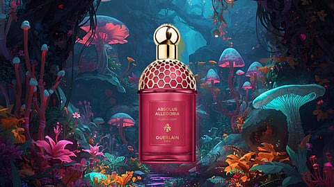 Winter fragrances (2)