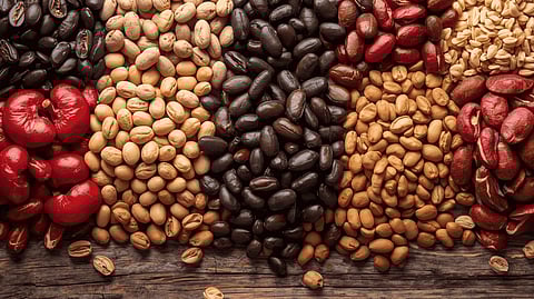 Beans have the potential of benefitting the gut health by offering soluble and insoluble fibre that in turn acts as prebiotics and helps in feeding useful gut bacteria. 