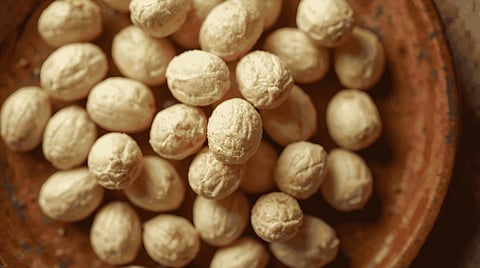 Makhana, popularly known as fox nuts or lotus seeds, has become highly popular for its various benefits. It is famous healthy snack that is widely enjoyed and eaten in India for centuries. 