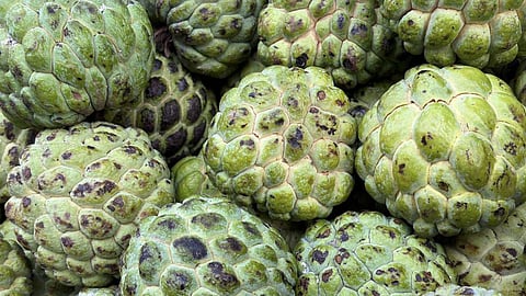 Effortless Sitaphal Seed Removal: Viral Hack Revealed