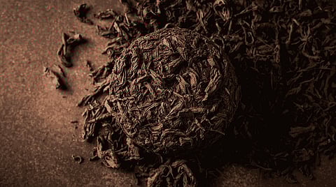 Pu-erh tea lowers cholesterol, burns fat, boosts heart health via antioxidants like theabrownins, improves digestion, and regulates blood sugar. 