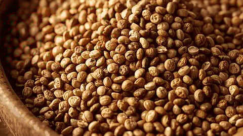 If you enjoy the food every day, you will notice increased metabolism, and effective disease prevention. 