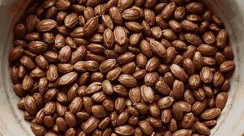 Flaxseeds are packed with essential compounds that can benefit hair health. These nutritious and tiny seeds are rich in protein, omega-3s, and fibre. 