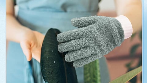 Protective Cleaning Gloves for Safe and Easy Home Cleaning