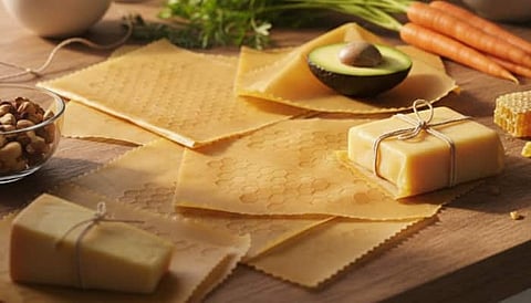 Food storage practices are very important in sustainability and reduction of wastes in the day-to-day homes. 