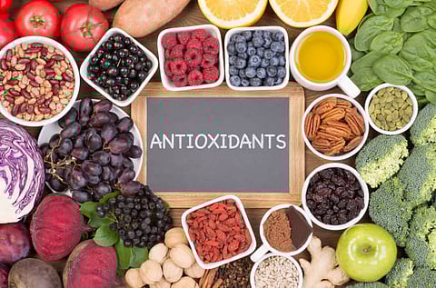 Antioxidants functions by preventing free radicals from destroying the DNA, cell membranes, proteins, and restricting chain reactions. 