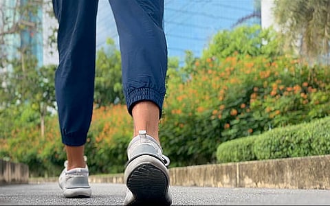 If you are keen to lose your weight or keep it under control, a morning walk can significantly help you achieve your goal. 
