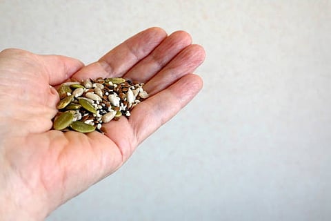 The presence of bioactive peptides in sunflower seeds can help the blood vessels relax, reduce blood pressure by restricting an enzyme that can cause blood vessels to constrict. 