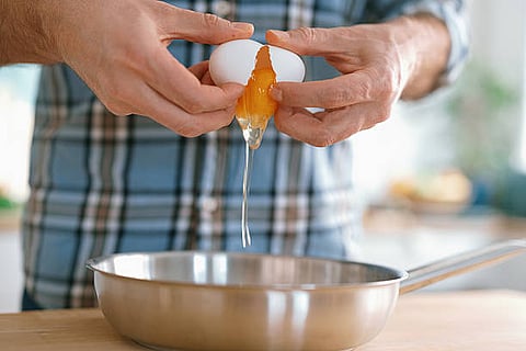 Egg yolk is a vital source of choline that can support brain health, liver functioning, and metabolism. 