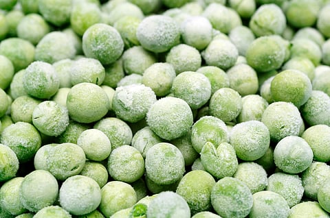 Despite being a winter vegetables frozen peas become handy anytime you want to use them in various culinary preparations.