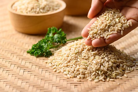 The popularity of brown rice has been soaring all over the globe amid several health benefits 