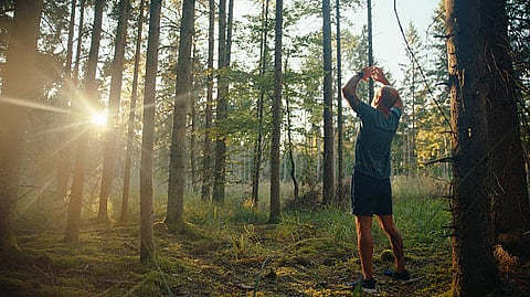 Spending time in the forests has been linked to reduced levels of cortisol, the body’s main stress hormone. 