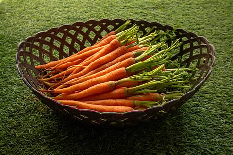 Presence of beta-carotene in orange carrots can provide powerful antioxidant properties and protect the body against oxidative damage. 