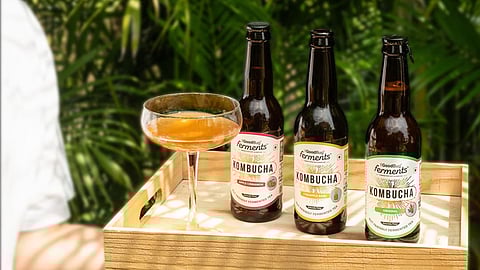 Refreshing Kombucha Bottled Drinks For Better Gut Health