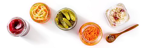 Fermented foods such as kimchi, kombucha, tempeh and sauerkraut provide a variety of probiotic strains along with fiber, vitamins and minerals that can support overall health.