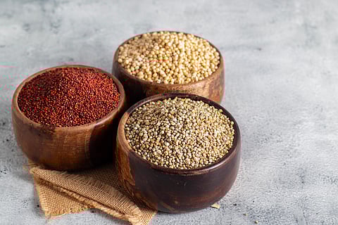 Forgotten Indian grains making a comeback 