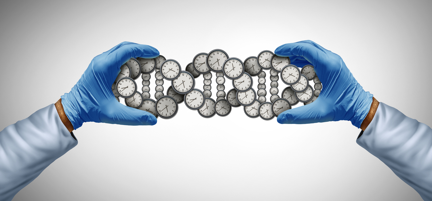 Longevity is strongly influenced by your DNA and new studies show that genetics may account for about 50% of human lifespan.