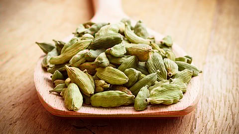 Cardamom can be used in powdered form or as pods, in tea, desserts, or even as a natural mouth freshener.