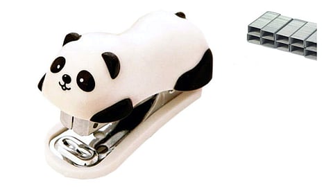 These items will make studying more fun.