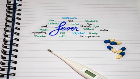 When you have a mild grade fever, you may lose your appetite. But, it is vital eat light, healthy, and nourishing meals. 