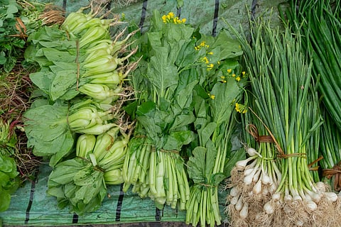 Greens are packed with vitamins, iron, and minerals, and you can enjoy them in several ways like dal or soups to reap their benefits.