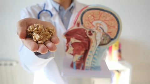 Berries contain high amounts of antioxidants that can protect brain from oxidative stress and improve neuronal connections. 