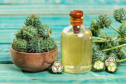 Castor oil is beneficial for dry skin, hair, inflammation, constipation, hyperpigmentation, and minor wounds.
