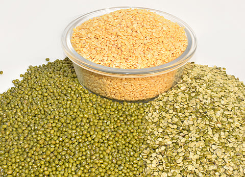 Moong dal is  highly nutritious, easily digestible and  low-calorie food, which is rich in protein, fiber, and essential minerals.