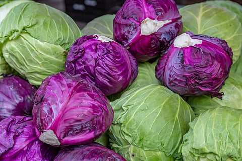 From gut health to protecting heart, cabbage has several health benefits making it a must in your diet plan.