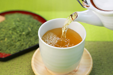 Green tea is packed with  antioxidants and bioactive substances that support heart, brain, metabolic, and overall health.