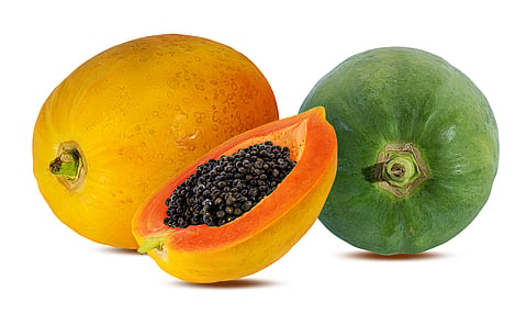 Chemically ripened papayas are a health hazard so it is important to learn to pick up the naturally ripened fruit.