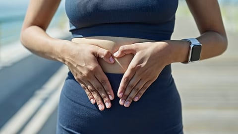 Your gut includes the stomach, colon, and intestine. 