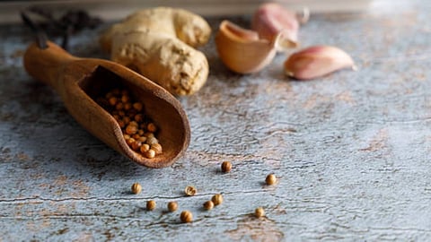 Ginger is excellent because it helps in stimulating digestion and pacify vata imbalance which can lead to dryness, roughness, and pain. 