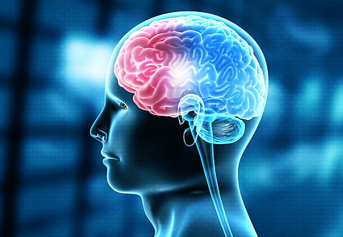 Five foods for brain health