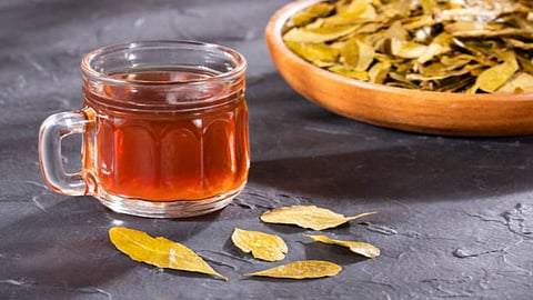 The leaves are also used in the treatment of dandruff and hair loss. 