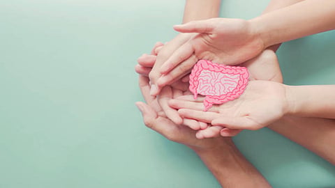 Approximately 80% of your immune system resides in the gut only along with a majority of serotonin (happiness hormone). 
